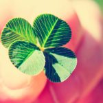 Aprenda ter sorte com essas dicas incríveis