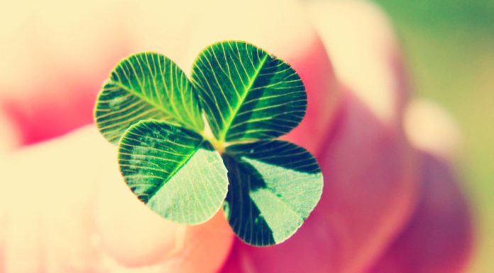 Aprenda ter sorte com essas dicas incríveis