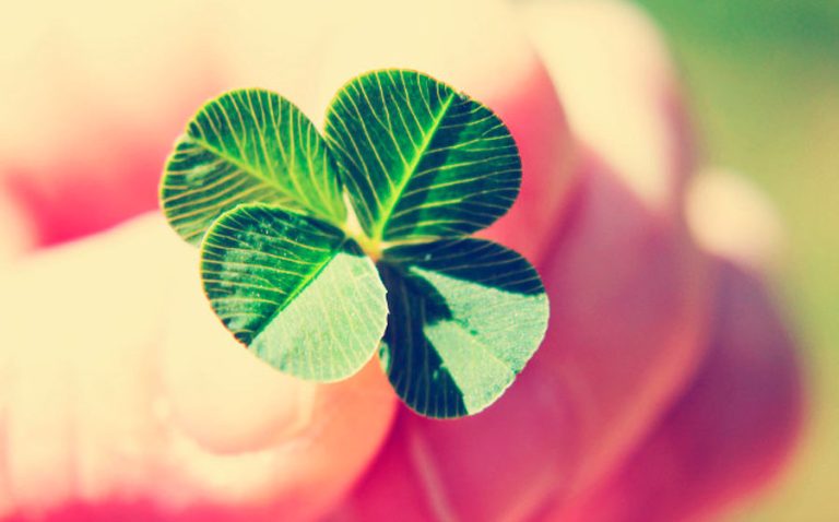 Dicas De Como Ter Mais Sorte Na Vida | iQuilibrio