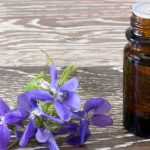 Floral de Saint Germain: conheça os benefícios dessa terapia