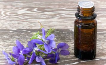 Floral de Saint Germain: conheça os benefícios dessa terapia