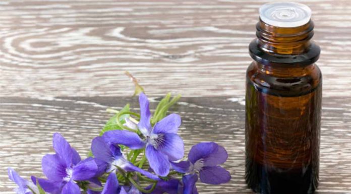 Floral de Saint Germain: conheça os benefícios dessa terapia