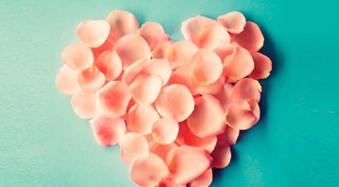 Simpatia para o amor