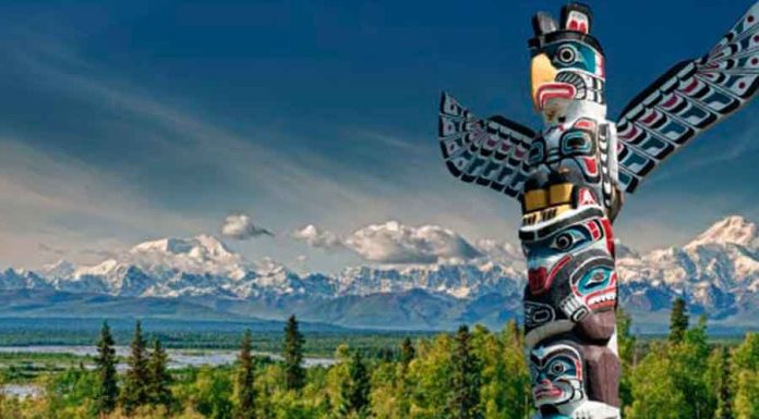 Descubra mais sobre os Animais de Poder