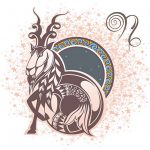 Como são as pessoas do signo de Capricórnio? signo de capricórnio