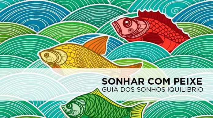 Sonhar com Peixe – Significado através do Guia dos Sonhos iQuilibrio sonho com peixe