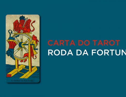 Sonhar Com Aranha - Descubra O Que Significa  iQuilibrio