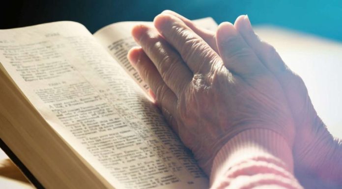 Salmo 23 da Bíblia Sagrada