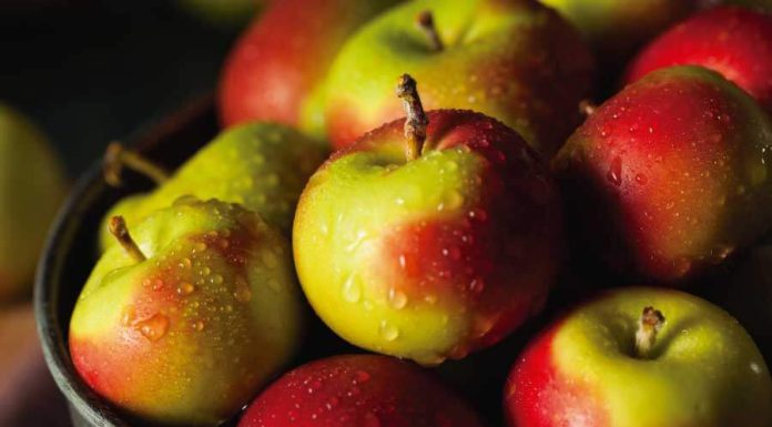 Quatro fortes simpatias com maçã para o amor em 2023 simpatia da maçã