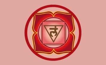 O Primeiro Chakra – Chakra Básico