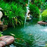 Feng Shui no jardim – Encontre equilíbrio e harmonia