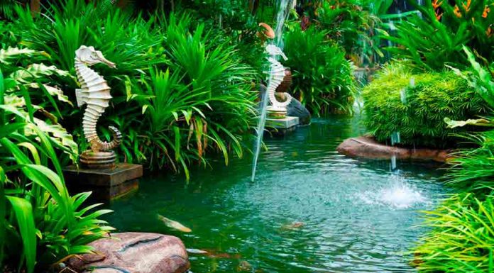 Feng Shui no jardim – Encontre equilíbrio e harmonia