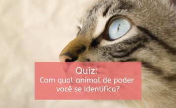 Quiz – Com qual animal de poder você se identifica?