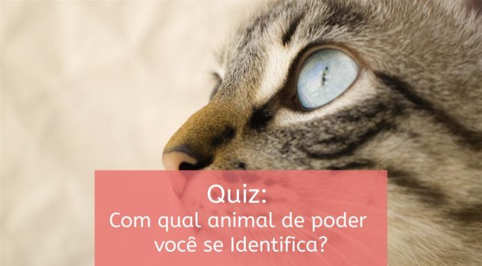 Quiz – Com qual animal de poder você se identifica?