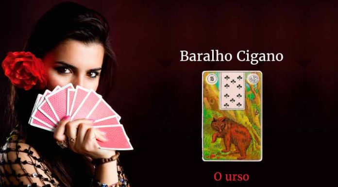 Conheça a Carta O Urso no Baralho Cigano o urso baralho cigano