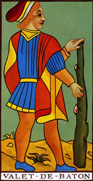 valete de paus tarot