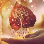 Como fazer o ritual de Mabon – Wicca – Passagem para o Outono ritual mabon