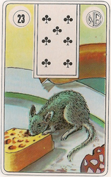 Cartas Ciganas O Rato