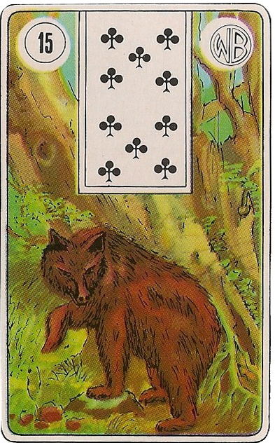 Cartas Ciganas O Urso