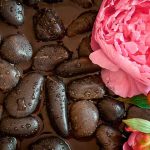 Conheça Ótimas Simpatias De Limpeza Energética Para Sua Casa!