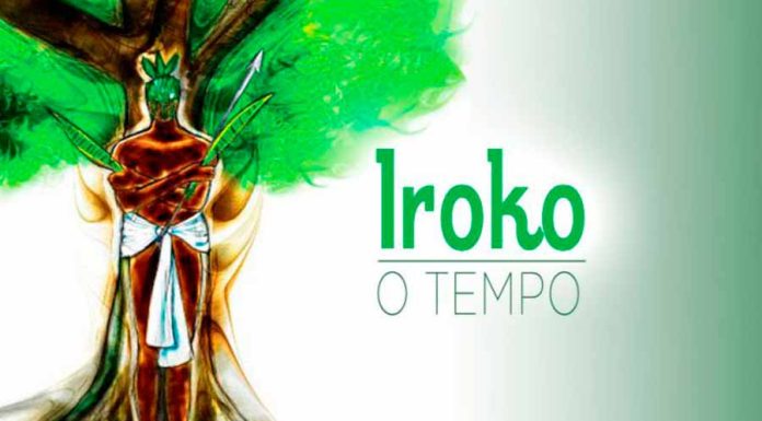 Tudo Sobre Iroko – O Orixá do Tempo orixá iroko