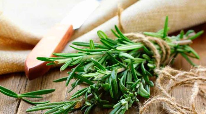 Banhos de Alecrim Para Relaxar e Trazer Boas Energias