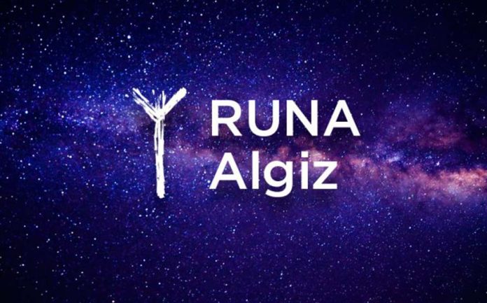 runa algiz