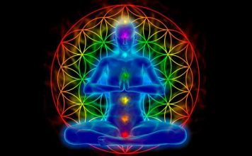 Conheça o Poder de Cura do Reiki a Distância reiki a distância