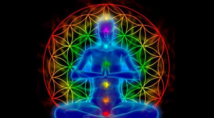 Conheça o Poder de Cura do Reiki a Distância reiki a distância