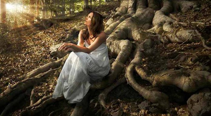 As Tradições da Arte – Tradições da Wicca wicca tradições