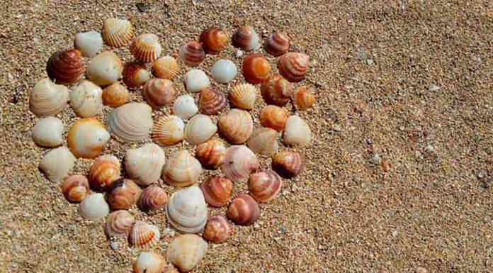 Quais as melhores simpatias para apimentar a relação? simpatia para apimentar relação