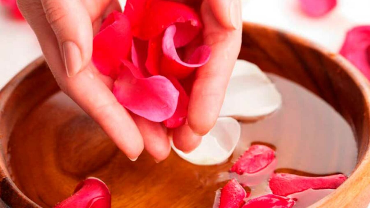 Banho De Rosas - Para Atrair Amor, Paz E Dinheiro | iQuilibrio