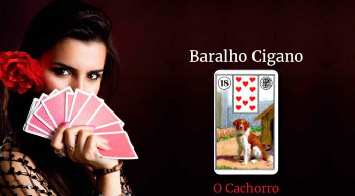 Conheça a Carta O Cachorro no Baralho Cigano o cachorro baralho cigano
