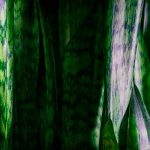 Simpatias de Ogum – Encontre a proteção desse guerreiro simpatias de ogum