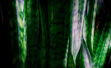 Simpatias de Ogum – Encontre a proteção desse guerreiro simpatias de ogum