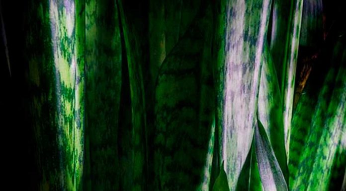 Simpatias de Ogum – Encontre a proteção desse guerreiro simpatias de ogum