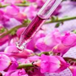 Conheça os Benefícios do Floral Para Emagrecer e Vença o Desafio da Balança Floral de emagrecimento