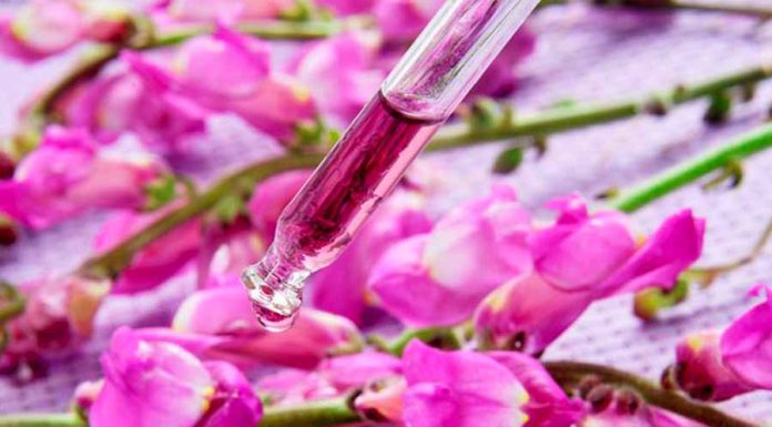 Conheça os Benefícios do Floral Para Emagrecer e Vença o Desafio da Balança Floral de emagrecimento