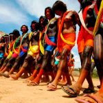 A Cultura Indígena e o Xamanismo xamanismo dos índios