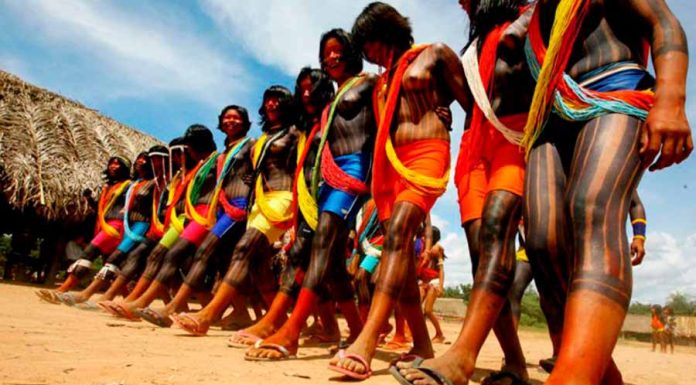 A Cultura Indígena e o Xamanismo xamanismo dos índios
