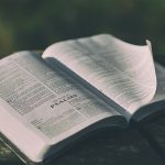 Confira esses Salmos de Proteção para melhorar a sua vida salmos para proteção