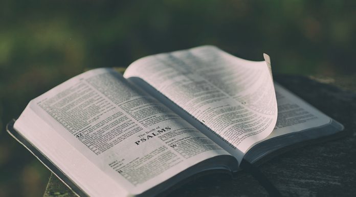 Confira esses Salmos de Proteção para melhorar a sua vida salmos para proteção