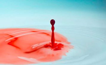 O Que Significa Sonhar Com Sangue? sonho com sangue