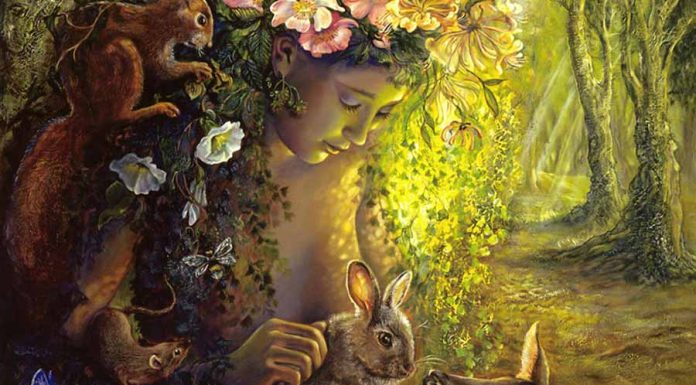 Saiba mais sobre o Ostara Wicca – significado e ritual sabbat ostara