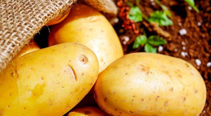 Simpatia Poderosa da Batata – Atraia Amor e Sucesso Financeiro simpatia com batata