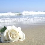 Tudo Sobre Iemanjá, Rainha do Mar Simpatia para Iemanjá