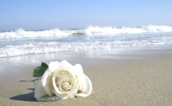 Tudo Sobre Iemanjá, Rainha do Mar Simpatia para Iemanjá