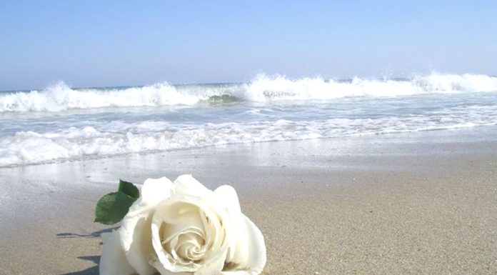 Tudo Sobre Iemanjá, Rainha do Mar Simpatia para Iemanjá