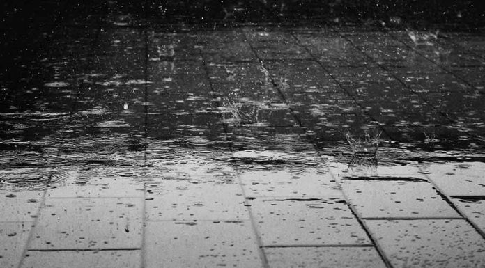 Descubra aqui o que significa Sonhar com Chuva sonho com chuva