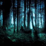 Os Seres Encantados, o folclore e as encantarias a benefício dos homens encantado